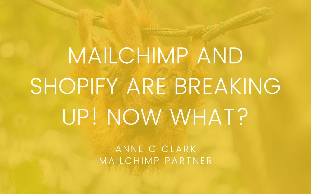 Mailchimp and Shopify are breaking up! Now what?