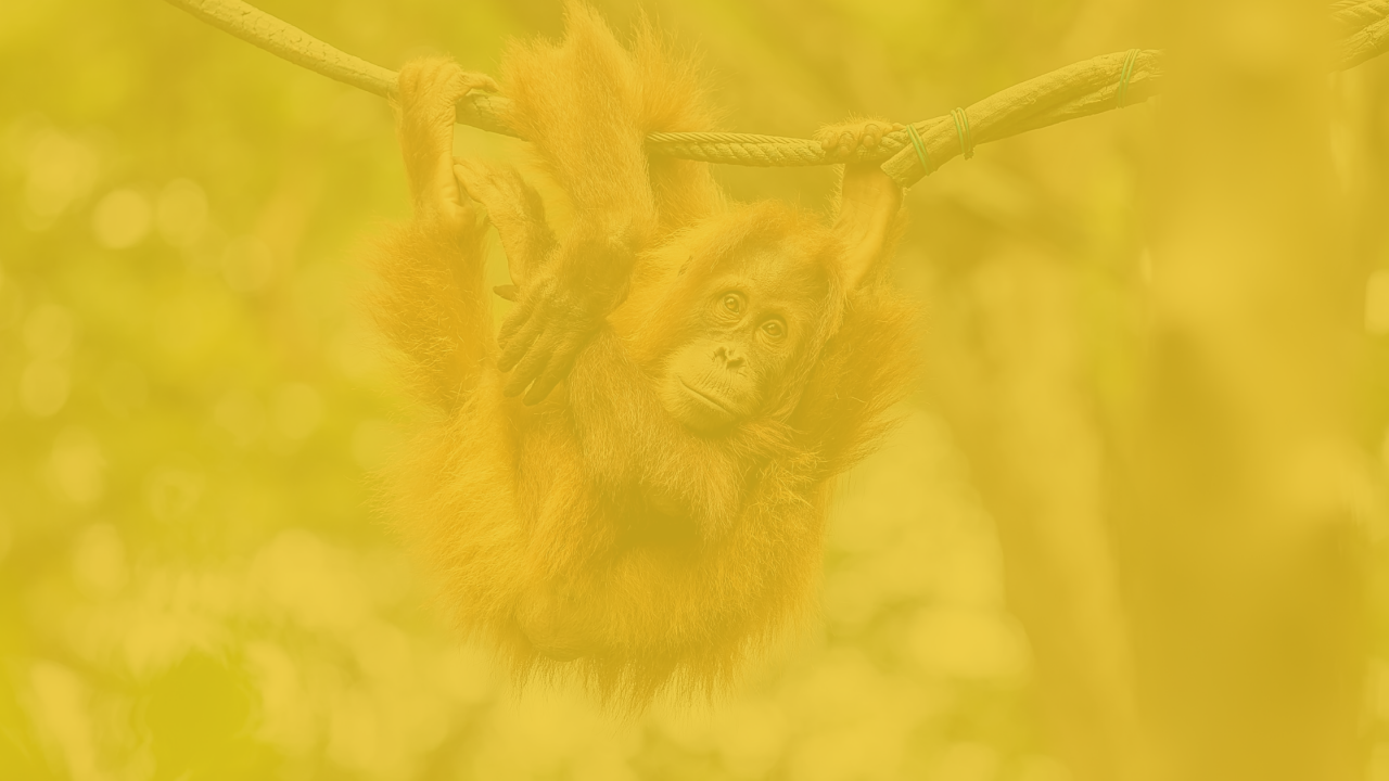 How to archive your mailchimp contacts