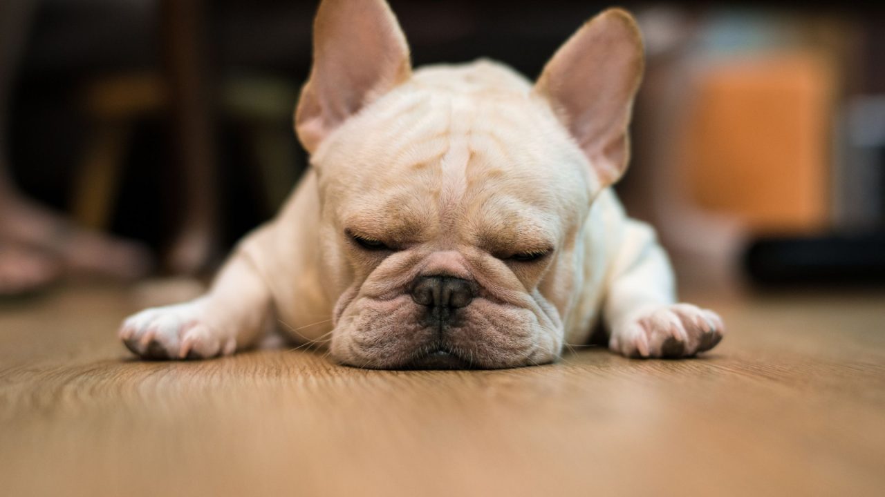 50 motivational quotes to kick off your Mondays