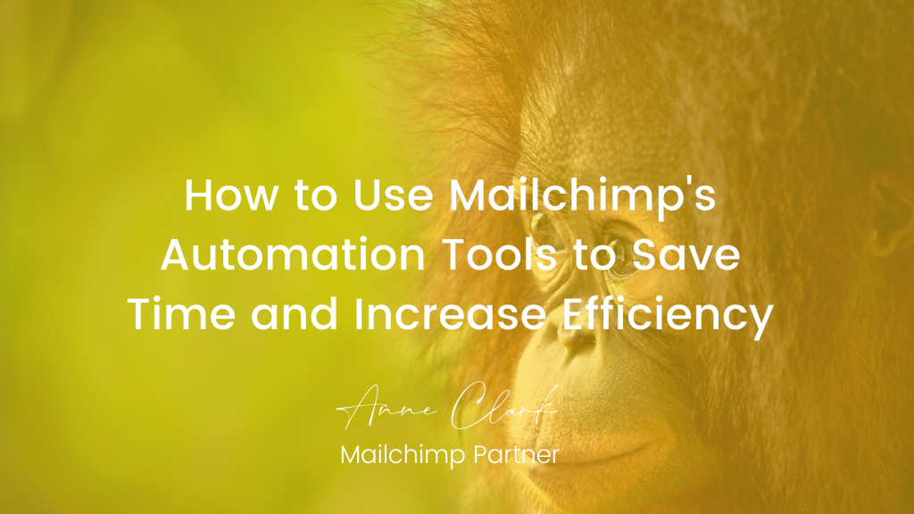 How to Use Mailchimp's Automation Tools