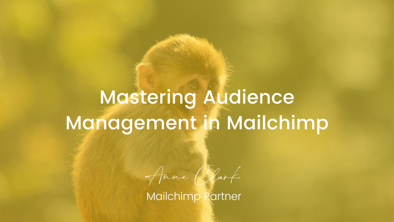 Mastering Audience Management in Mailchimp