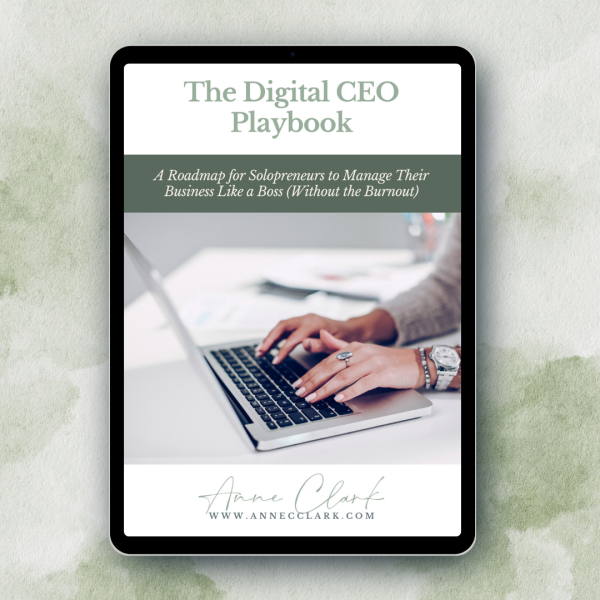 The Digital CEO Playbook (ebook)