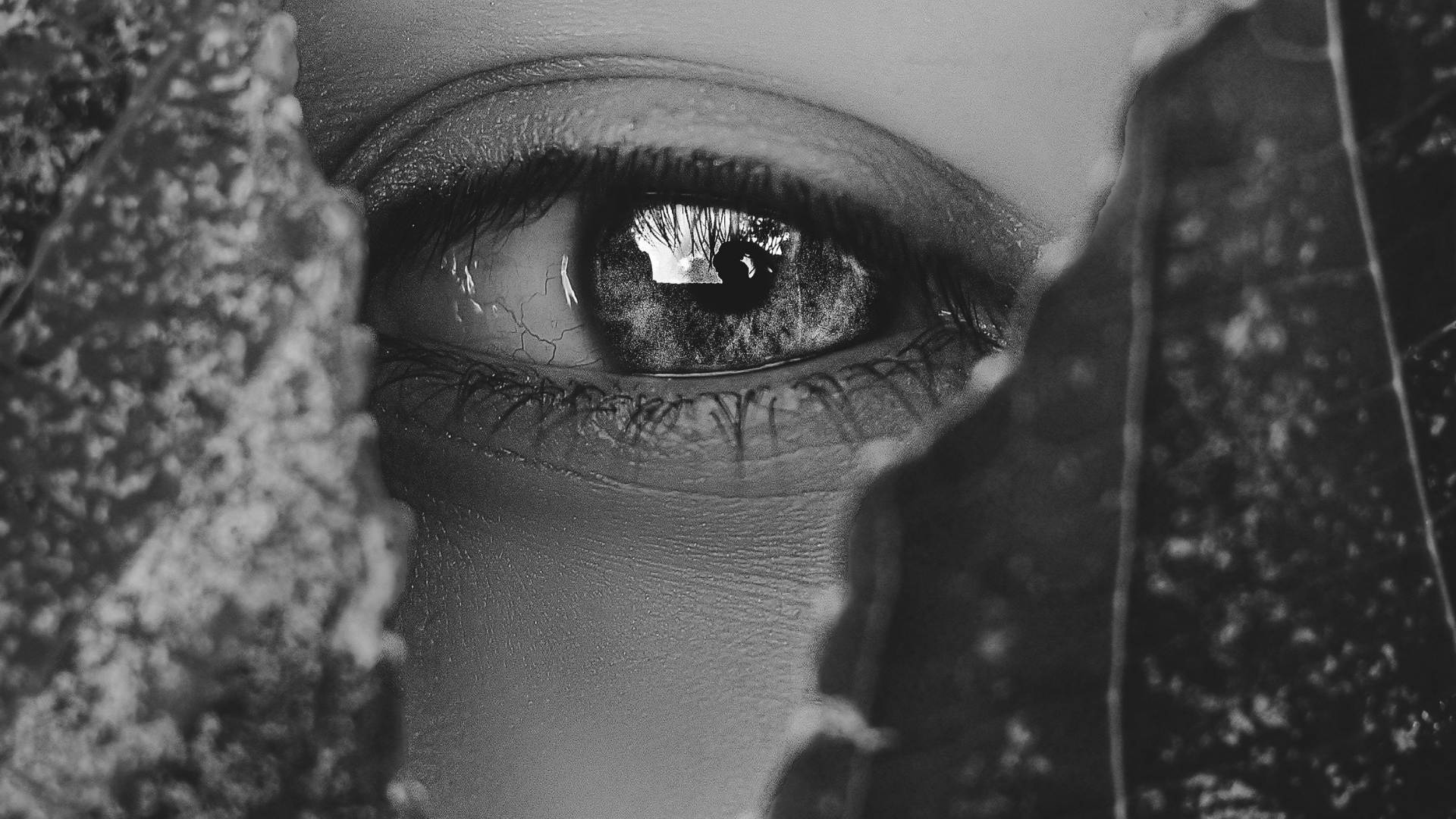 The Energetics of Visibility: Why You’re Not Showing Up Online (and How to Shift It)
