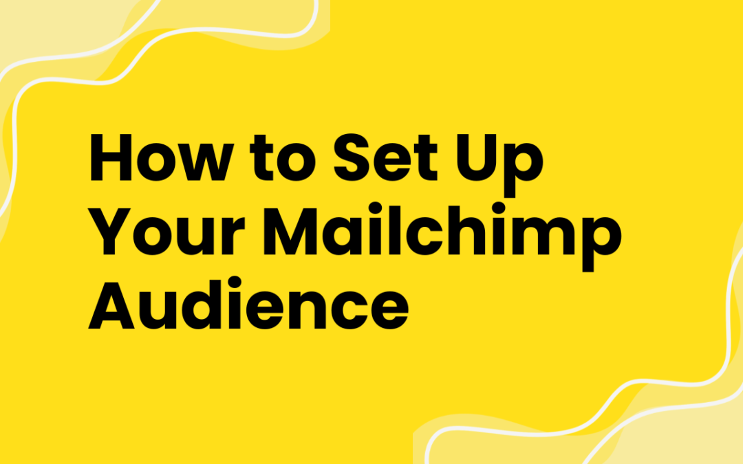 How to Set Up Your Mailchimp Audience